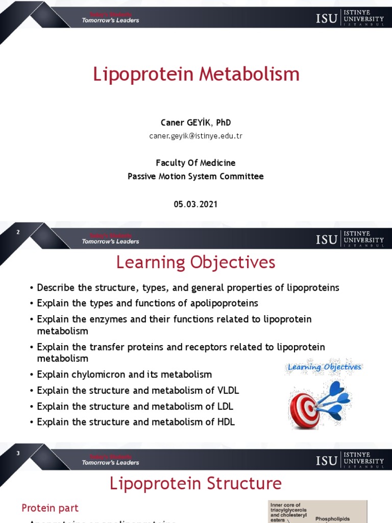 Overview of Lipoprotein Metabolism | PDF | Lipoprotein | High Density ...