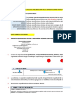 Especificaciones Técnicas TRES CRUCES