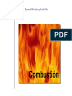 Dynamics-Proceso Combustión