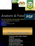 Minggu3 Sistem Integumantari