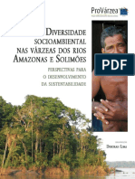 LIMA, DeBORAH. (Org.). Diversidade Socioambiental. 2005. 420p.