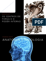 Os Centros de Força e o Poder Interno