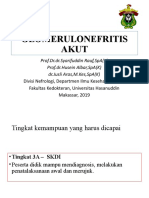 Prof. Syarifuddin Glomerulonefritis Akut-GNAPS (Kelas A)