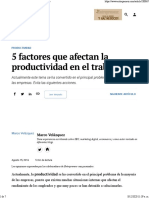 5 Factores Que Afectan La Productivdad