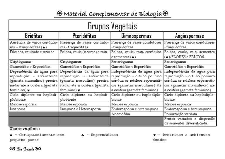 Tabela Grupos Vegetais | PDF | Plantas | Biologia