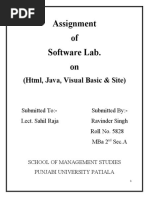 Assignment of Software Lab. On: (HTML, Java, Visual Basic & Site)