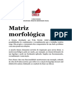 Matriz Morfológica - 90901892