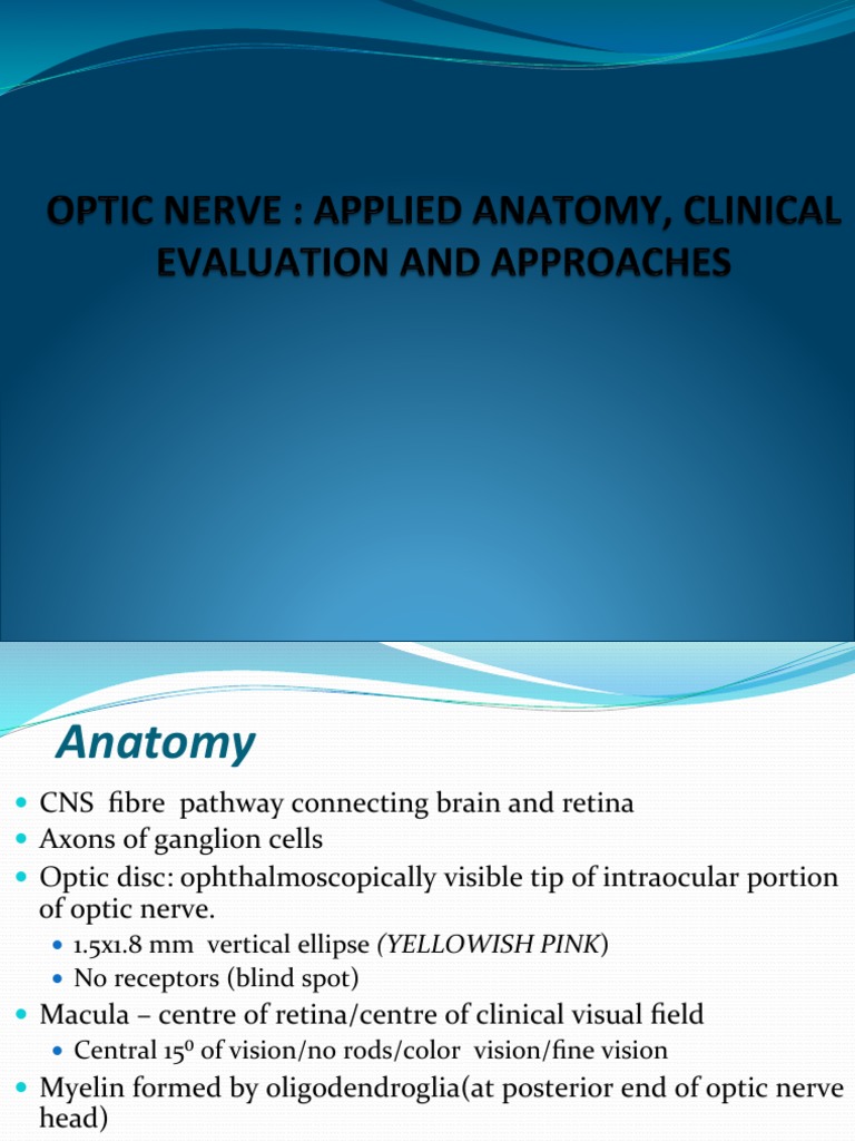 Anatomy of the Optic Canal and Nerve | PDF | Retina | Visual Acuity