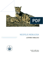 Leopardo Nebuloso