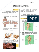 Anatomia Humana - Generalidades - Pt.es