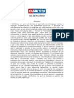 Gel de Agarose: Separação de Moléculas por Tamanho e Formato