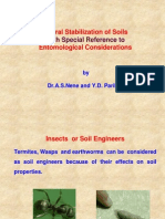 Stabilization of Soils by Termites