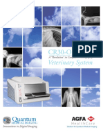 Cr30-Oracle: Veterinary System