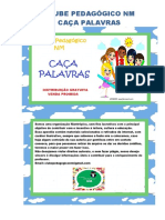 CAÇA PALAVRAS Diversos