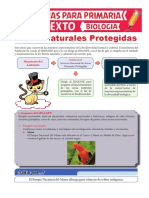 Áreas Naturales Protegidas Para Sexto de Primaria