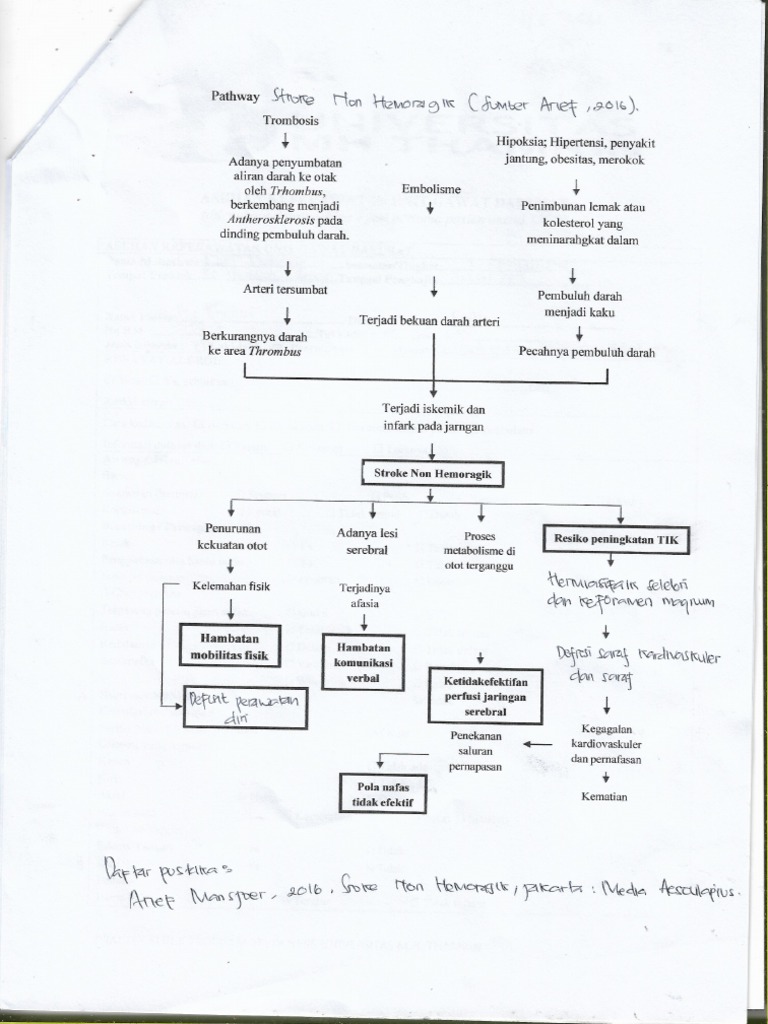 Pathway SNH | PDF
