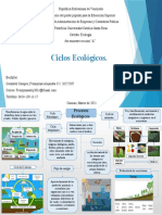 Mapa Mental Procesos Ecologicos