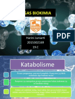 Biokimia3 - Harini Juniarti - 19C