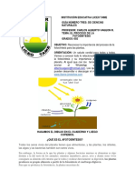 Guia Numero Tres Ciencias 602