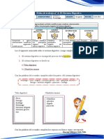 Miss Milagros - Ciencia-El Sistema Digestivo Ok