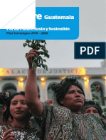 Trocaire Guatemala Plan Estrategico