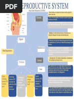 Mind Map Male Reproductive System