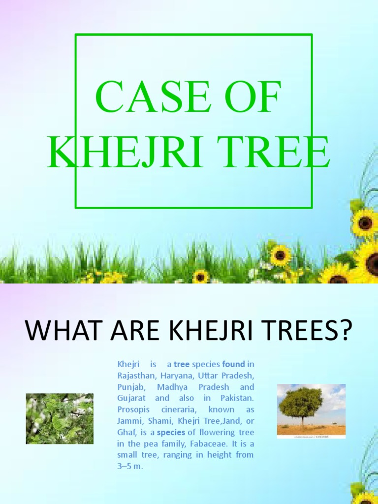 Case of Khejri Tree PDF Trees