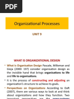 Organizational Processes: Unit 9