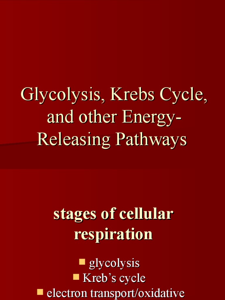 Glycolysis & Kreb's Cycle | PDF | Cellular Respiration | Adenosine ...