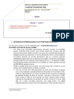 INPPA Cluj - OEPA - Ateler 7 - Organizatii Internationale Ale Profesiei de Avocat