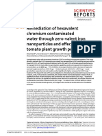 Remediation of Hexavalent Chromium Contaminated Water Through Zero-Valent Iron Nanoparticles and Effects On Tomato Plant Growth Performance