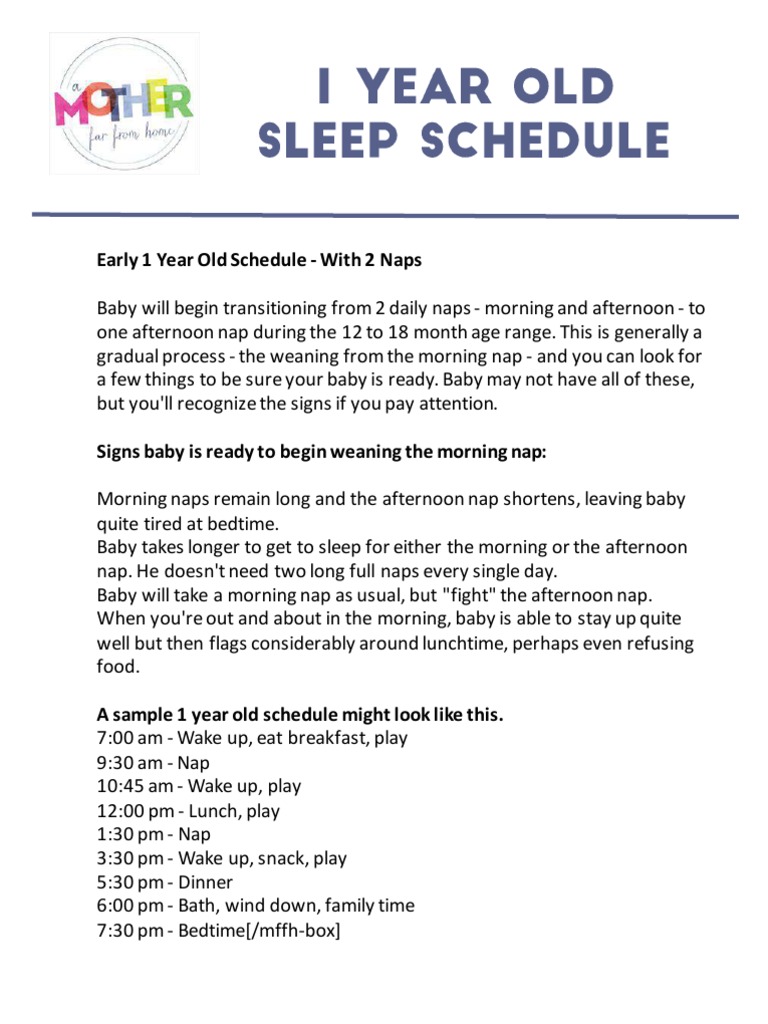 Early 1 Year Old Schedule - With 2 Naps | PDF | Sleep | Determinants Of