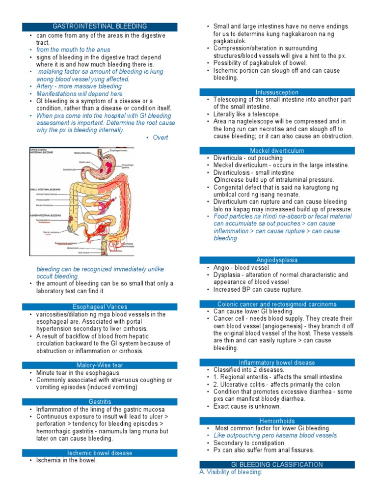 Understanding Gastrointestinal Bleeding | PDF | Gastrointestinal Tract ...