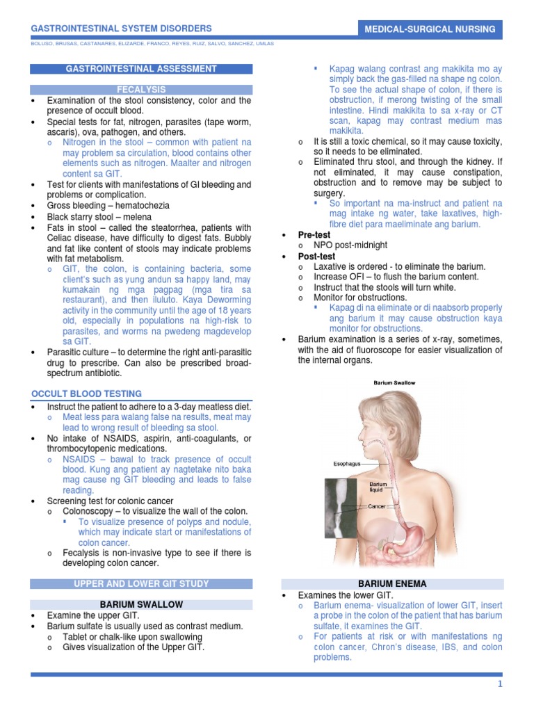 Comprehensive Overview of Common Gastrointestinal System Disorders 