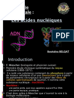 Les Acides Nucléiques - SVI-S3