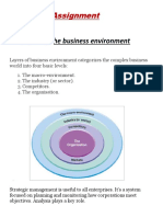 Assignment: Layers of The Business Environment