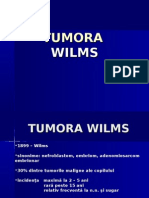 32280504-TUMORA-WILMS
