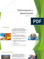 Deforestación y Desertización - 1