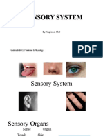 Sensory System: By: Sugiono, PHD