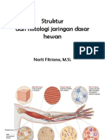 Struktur dan histologi jaringan  dasar_NF