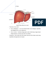 Struktur Makroskopis Hepar
