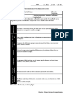 Formato. Procedimientos Pedagógicos