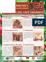 DI Cultivo Del Cafe Organico