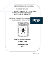 DIRECTIVA PRÁCTICA PROFESIONAL II DE EDUCACIÓN_2021