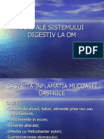 Boli Ale Sistemului Digestiv La Om