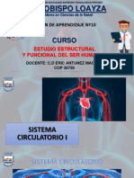 Sesion 10- Sistema Circulatorio i