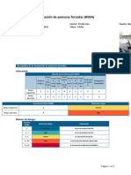 Informe Reba