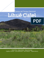 Lihue Calel Completo Baja