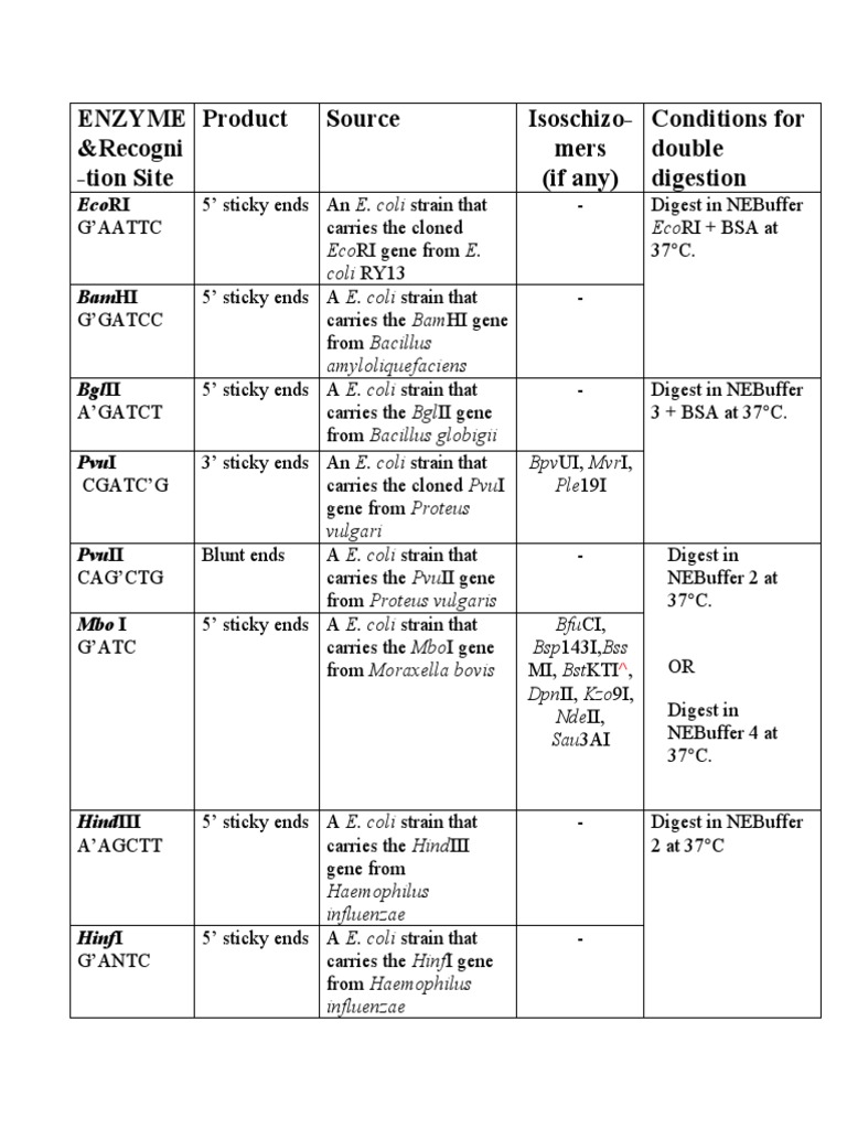 Enzyme Digestion Protocols for E. coli | PDF | Biotechnology | Bacteria
