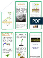 Triptico La Germinacion